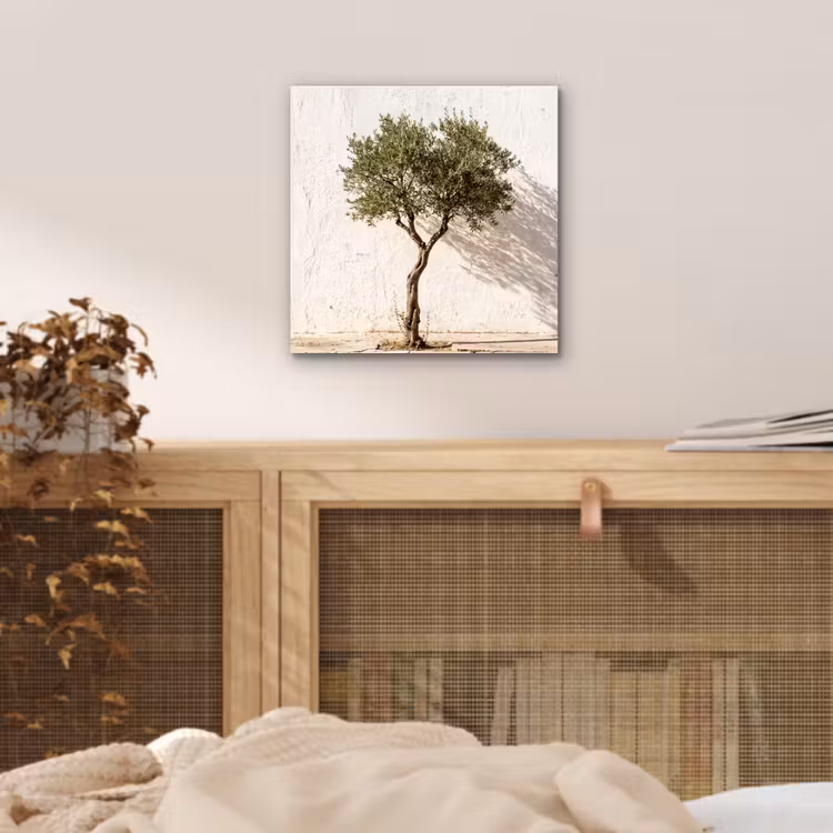 Alu-Dibond-Bild - Olivenbaum – Wand – weiß - Olijfboom - muur - wit aluminium wit klein
