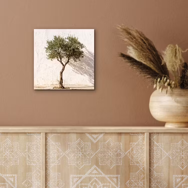 Alu-Dibond-Bild - Olivenbaum – Wand – weiß - Olijfboom - muur - wit aluminium wit klein