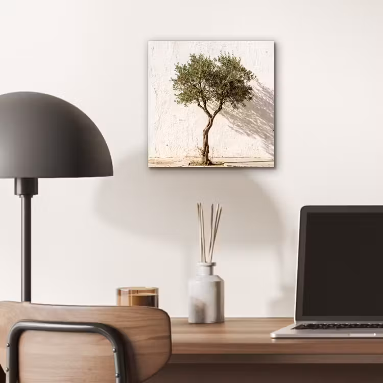 Alu-Dibond-Bild - Olivenbaum – Wand – weiß - Olijfboom - muur - wit aluminium wit klein