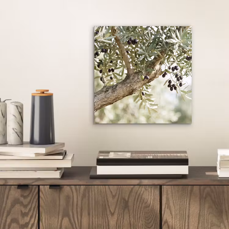 Alu-Dibond-Bild - Olivenbaum – Zweig – grün - Olijfboom - tak - groen aluminium wit klein