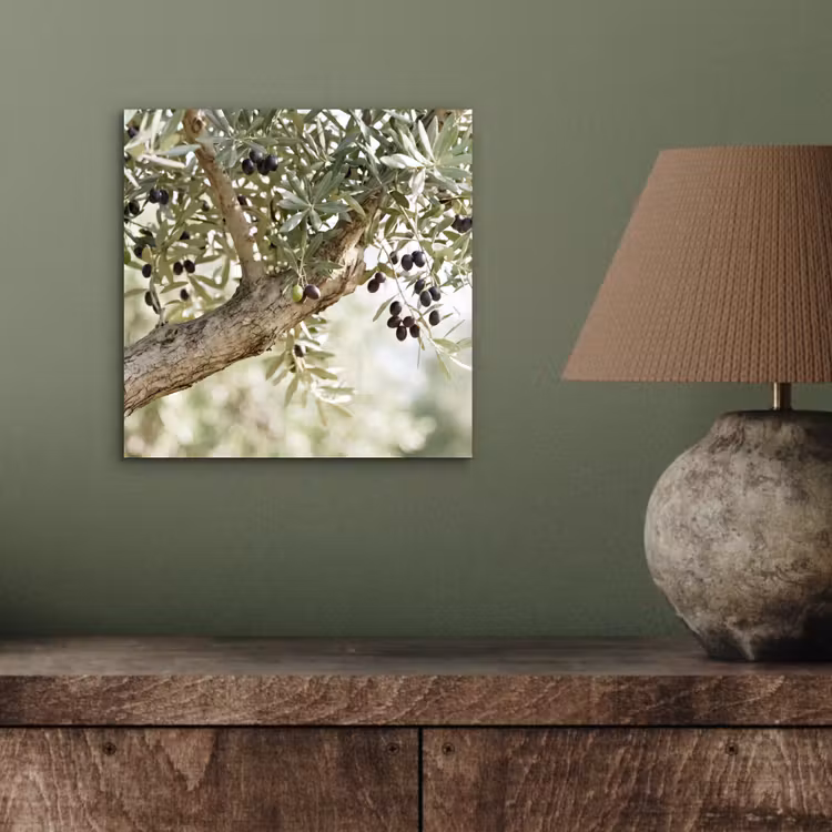 Alu-Dibond-Bild - Olivenbaum – Zweig – grün - Olijfboom - tak - groen aluminium wit klein