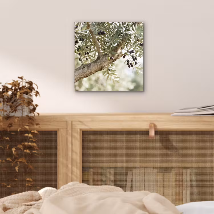 Alu-Dibond-Bild - Olivenbaum – Zweig – grün - Olijfboom - tak - groen aluminium wit klein