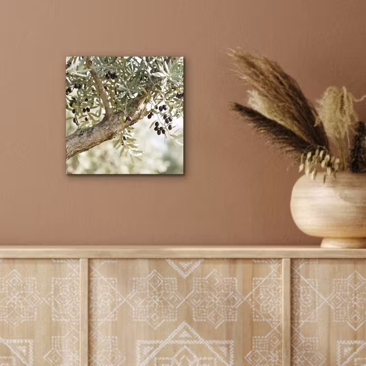 Alu-Dibond-Bild - Olivenbaum – Zweig – grün - Olijfboom - tak - groen aluminium wit klein