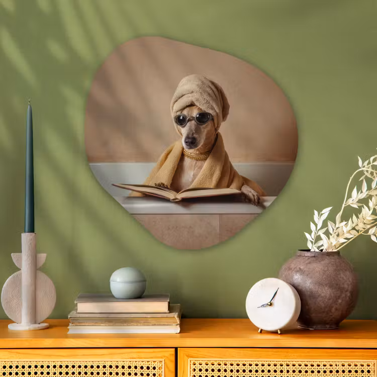 Bad - Hond - Boek - Zonnebril Wandcirkel Organisch Aluminium middel -sfeer2
