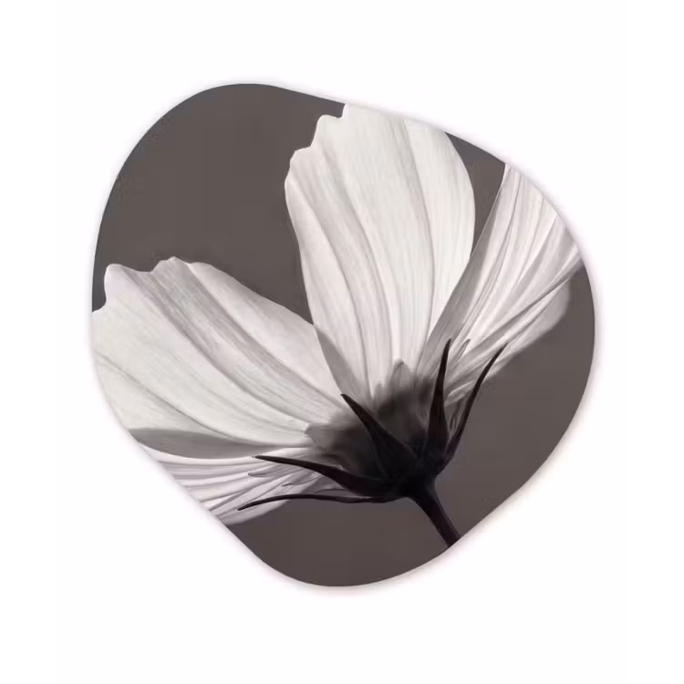 Bloem - Minimalistisch - Zwart - Wit Wandcirkel Organisch Aluminium middel -3d