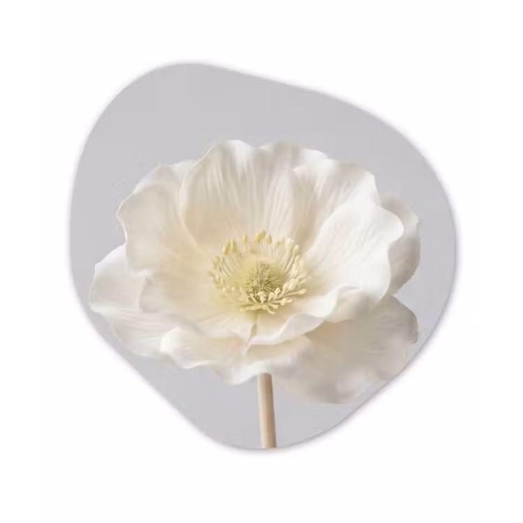 Bloem - Minimalistisch -Wit Wandcirkel Organisch Aluminium middel -3d