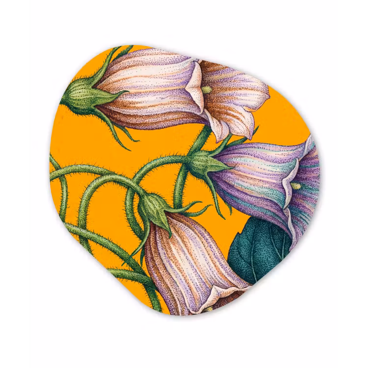 Alu-Dibond-Bild Organische Form - Blumen – Botanik – Gelb - Bloemen - Botanisch - Geel Wandcirkel Organisch Aluminium middel