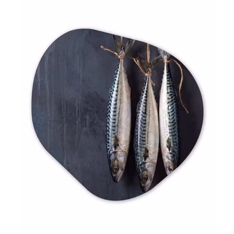 Alu-Dibond-Bild Organische Form - Drei Fische – Seil - Drie vissen - Touw Wandcirkel Organisch Aluminium middel