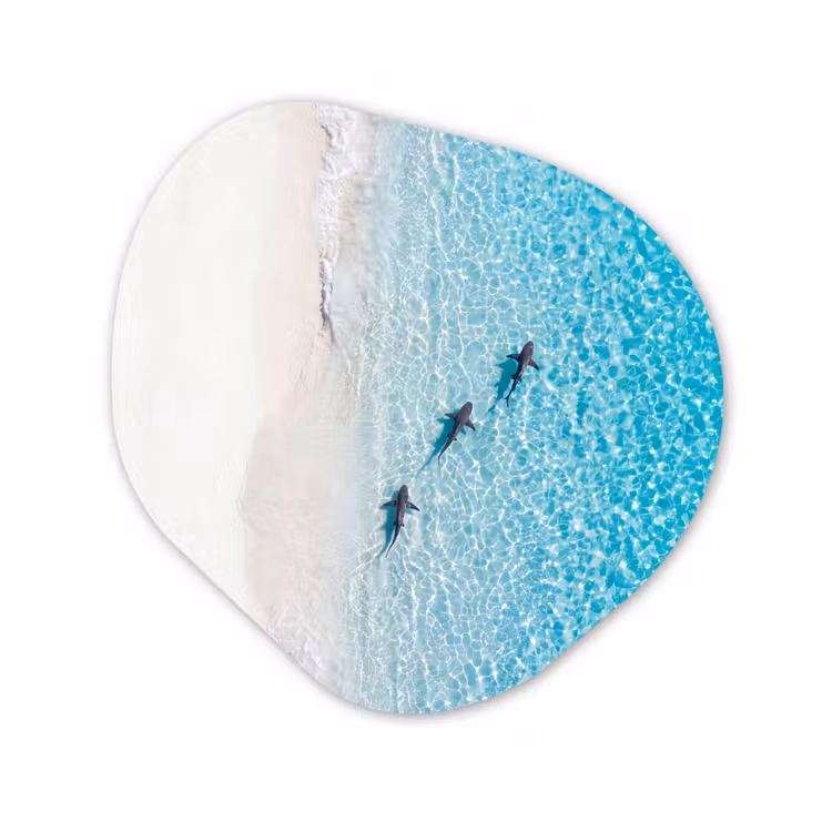 Vis - Oceaan - Strand - Turquoise - Natuur Wandcirkel Organisch Aluminium middel -3d