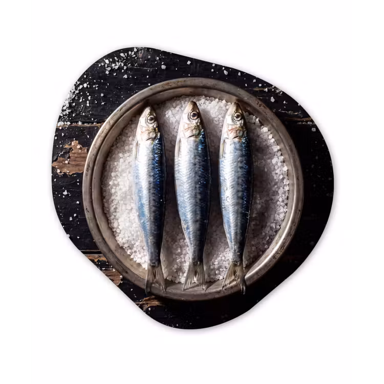Alu-Dibond-Bild Organische Form - Fisch – Salz – Essen - Vis - Zout - Eten Wandcirkel Organisch Aluminium middel