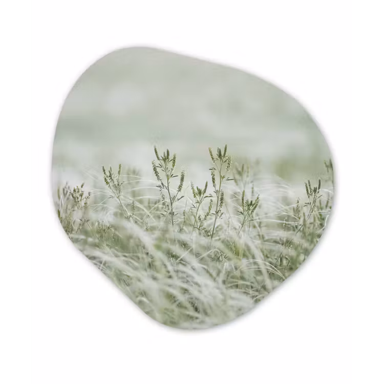 Grassen - Minimalistisch - Groen Wandcirkel Organisch Aluminium middel -3d