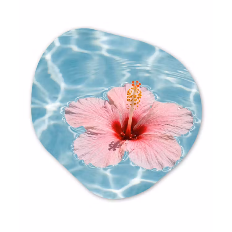 Hibiscus - Water - Roze Wandcirkel Organisch Aluminium middel -3d