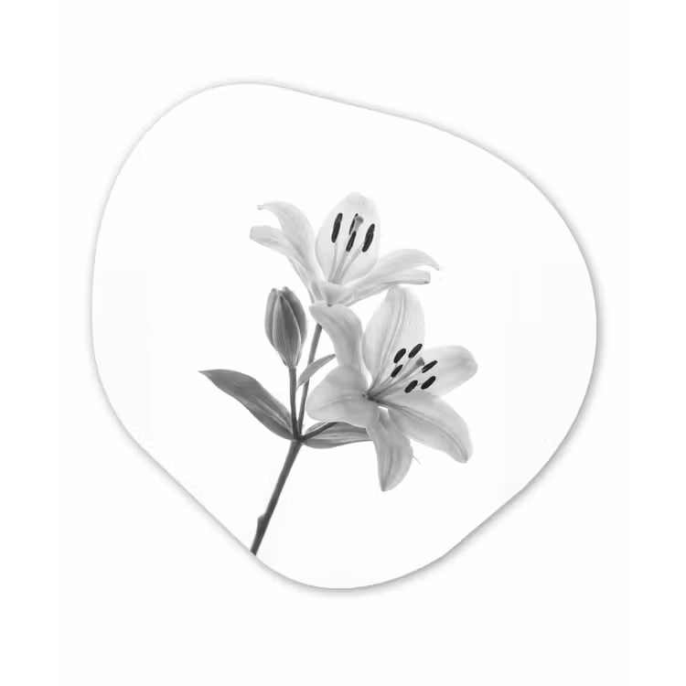 Lelies - Elegant - Zwart - Wit Wandcirkel Organisch Aluminium middel -3d
