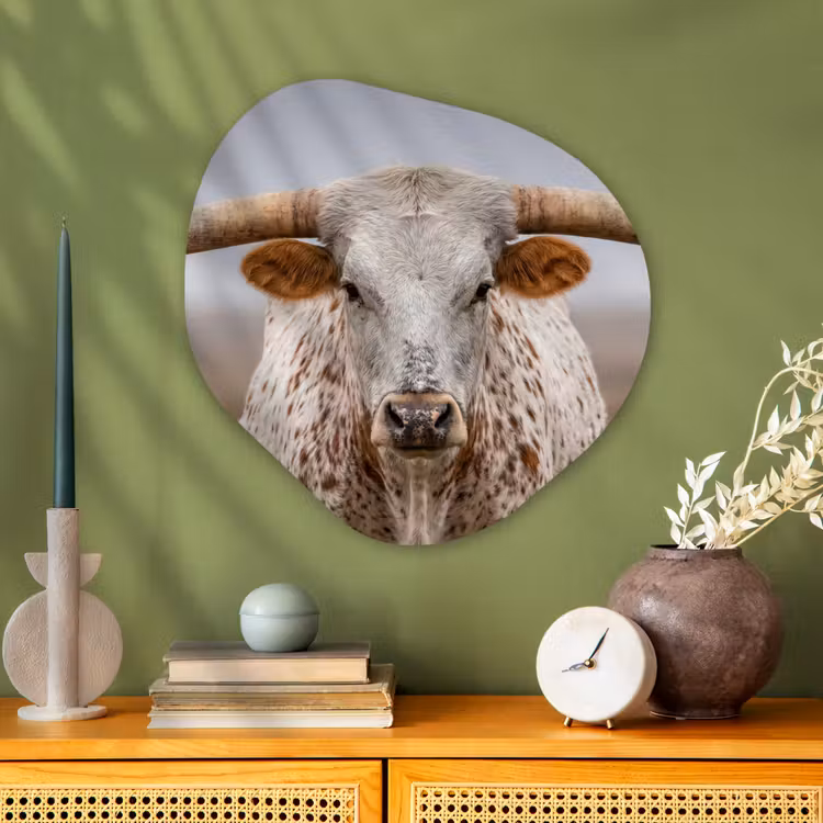 Longhorn - Grasveld - Dier Wandcirkel Organisch Aluminium middel -sfeer2