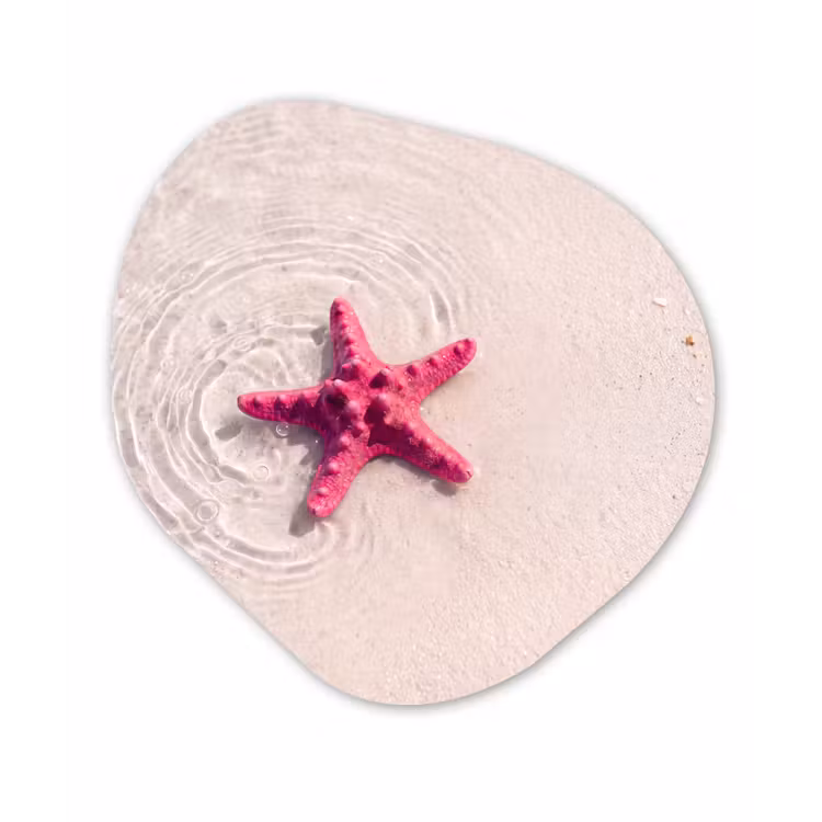 Zeeleven - Zeester - Strand - Roze - Water Wandcirkel Organisch Aluminium middel -3d