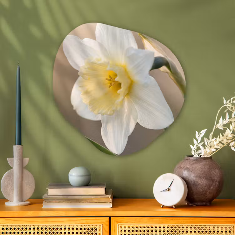 Narcis - Bloem - Minimalistisch Wandcirkel Organisch Aluminium middel -sfeer2