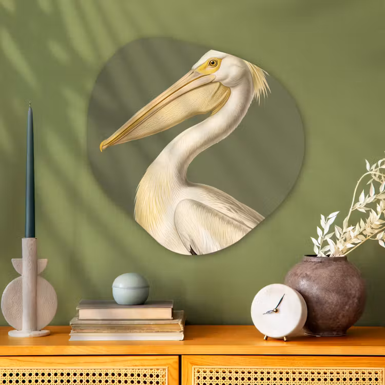 Pelikaan - Wit - Vogel - Klassiek - Natuur Wandcirkel Organisch Aluminium middel -sfeer2