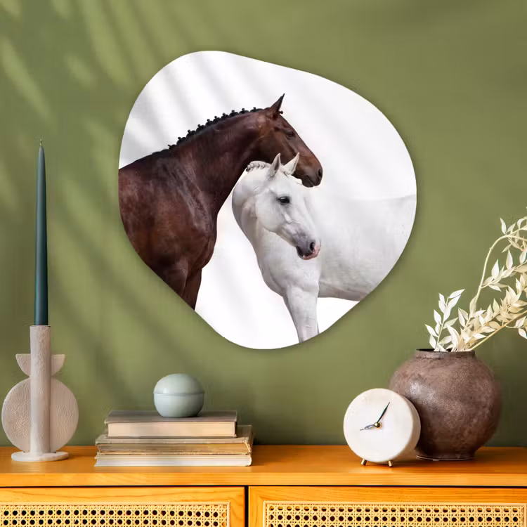 Paard - Modern - Balans Wandcirkel Organisch Aluminium middel -sfeer2