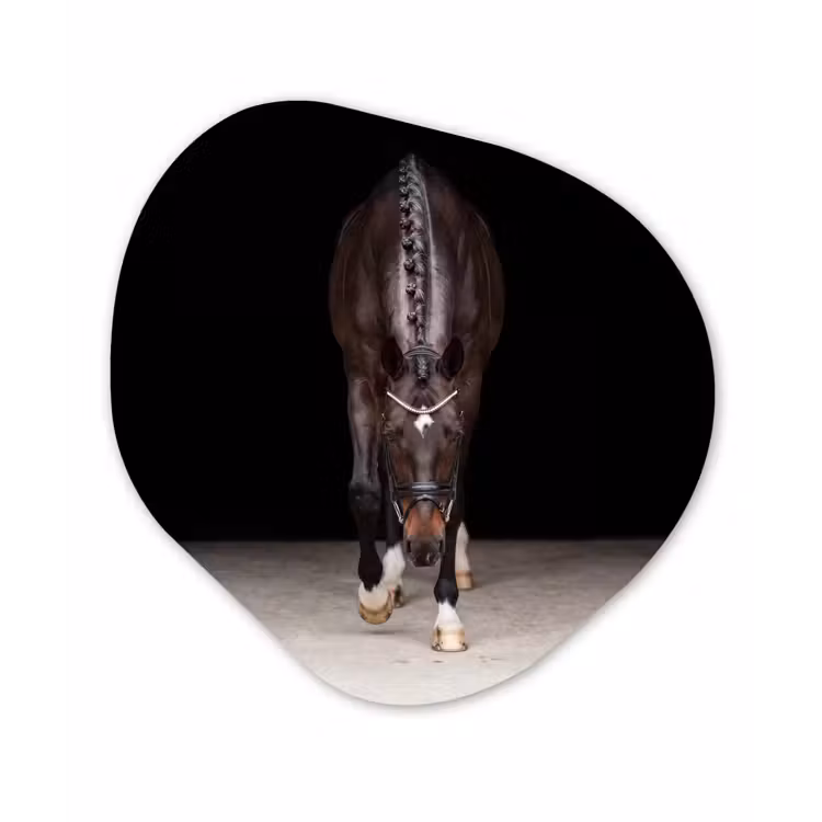 Paard - Modern - Portret Wandcirkel Organisch Aluminium middel -3d