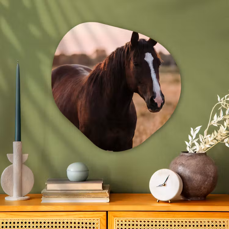 Paard - Zonsondergang - Bruin Wandcirkel Organisch Aluminium middel -sfeer2