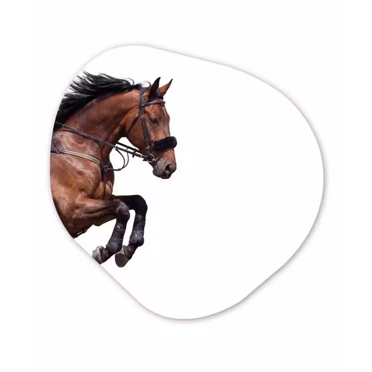 Paard - Springen - Modern Wandcirkel Organisch Aluminium middel -3d