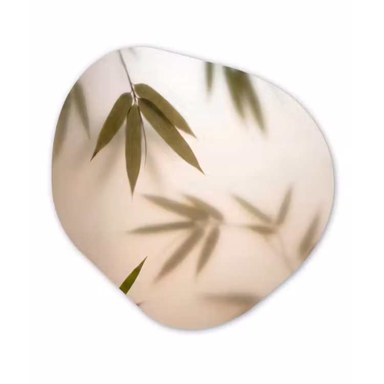 Planten - Bladeren - Natuur - Groen Wandcirkel Organisch Aluminium middel -3d
