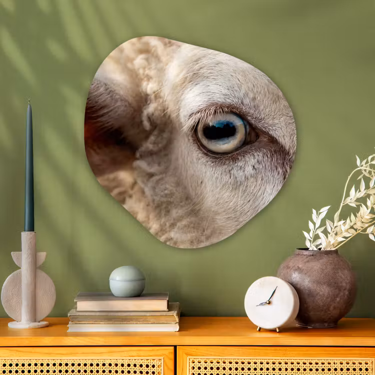 Schaap - Oog - Wit Wandcirkel Organisch Aluminium middel -sfeer2