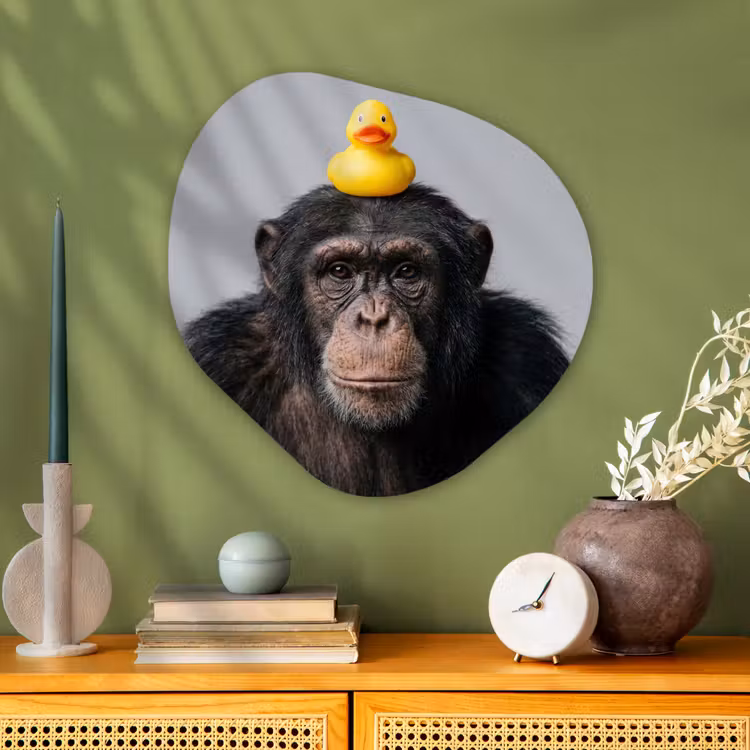 Chimpansee - Badeend - Grijs Wandcirkel Organisch Aluminium middel -sfeer2