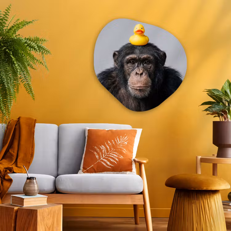 Chimpansee - Badeend - Grijs Wandcirkel Organisch Aluminium middel -sfeer4