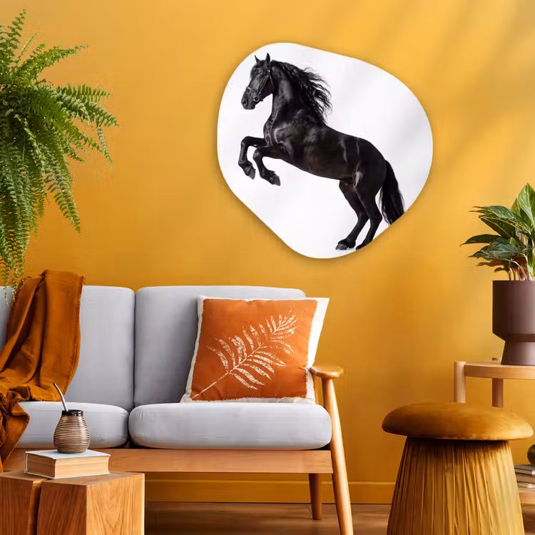 Zwart - Paard - Portret Wandcirkel Organisch Aluminium middel -sfeer4