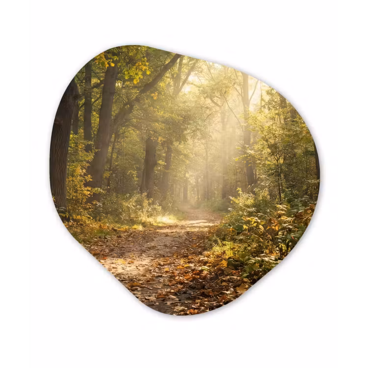 Zonlicht - Bospad - Bomen Wandcirkel Organisch Aluminium middel -3d