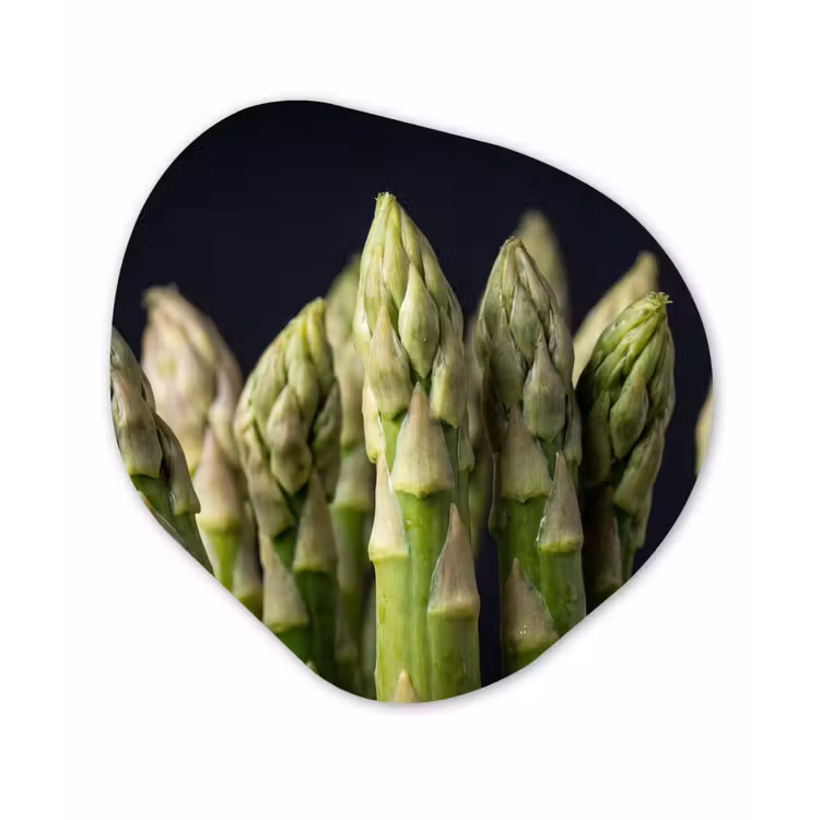 Asperges - Groen - Zwart Wandcirkel Organisch Aluminium middel -3d