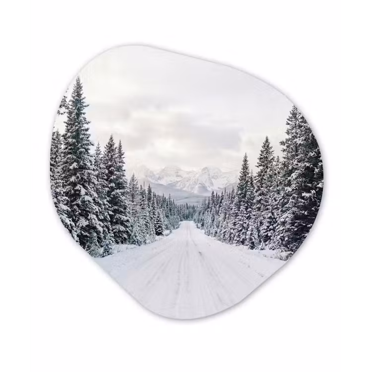 Weg - Sneeuw - Naaldbos - Winter - Avontuurlijk Wandcirkel Organisch Aluminium middel -3d