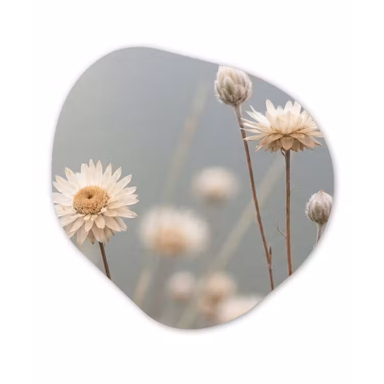 Strobloemen - Wit - Daglicht Wandcirkel Organisch Aluminium middel -3d