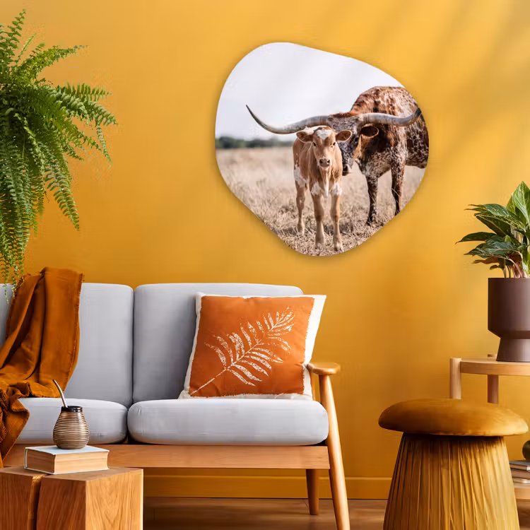 Texas Longhorn - Kalf - Weide - Dieren Wandcirkel Organisch Aluminium middel -sfeer4