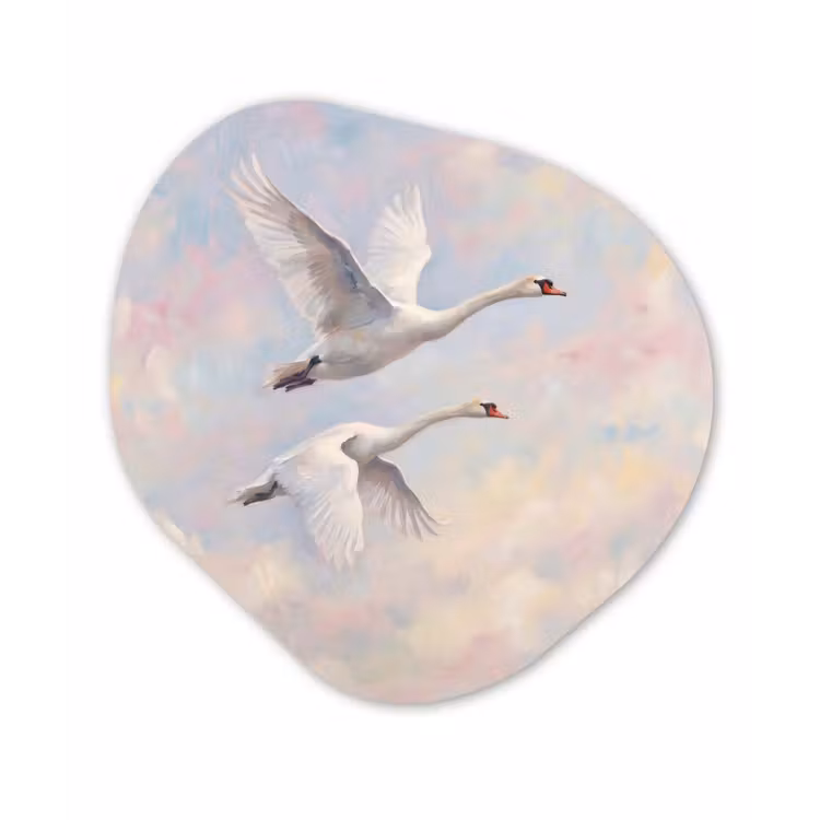 Vogel - Vliegend - Lucht - Modern - Pastel Wandcirkel Organisch Aluminium middel -3d
