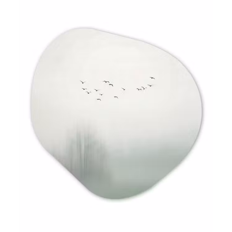 Vogel - Vlucht - Natuur - Minimalistisch Wandcirkel Organisch Aluminium middel -3d