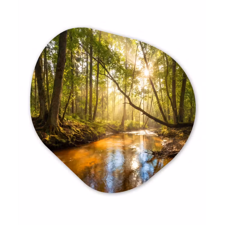 Bos - Beek - Zonlicht - Natuur - Groen Wandcirkel Organisch Aluminium middel -3d