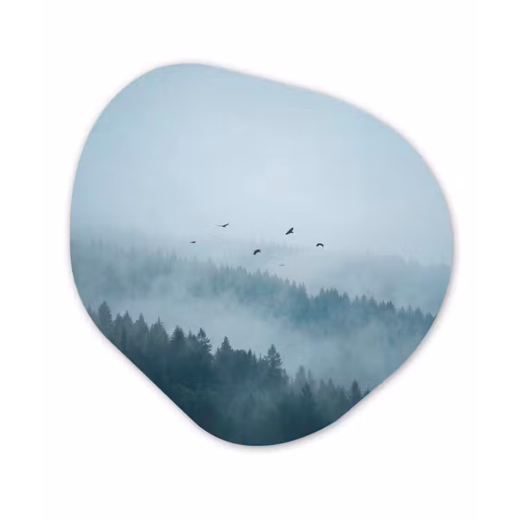 Bos - Mist - Vogels - Natuur - Groen Wandcirkel Organisch Aluminium middel -3d