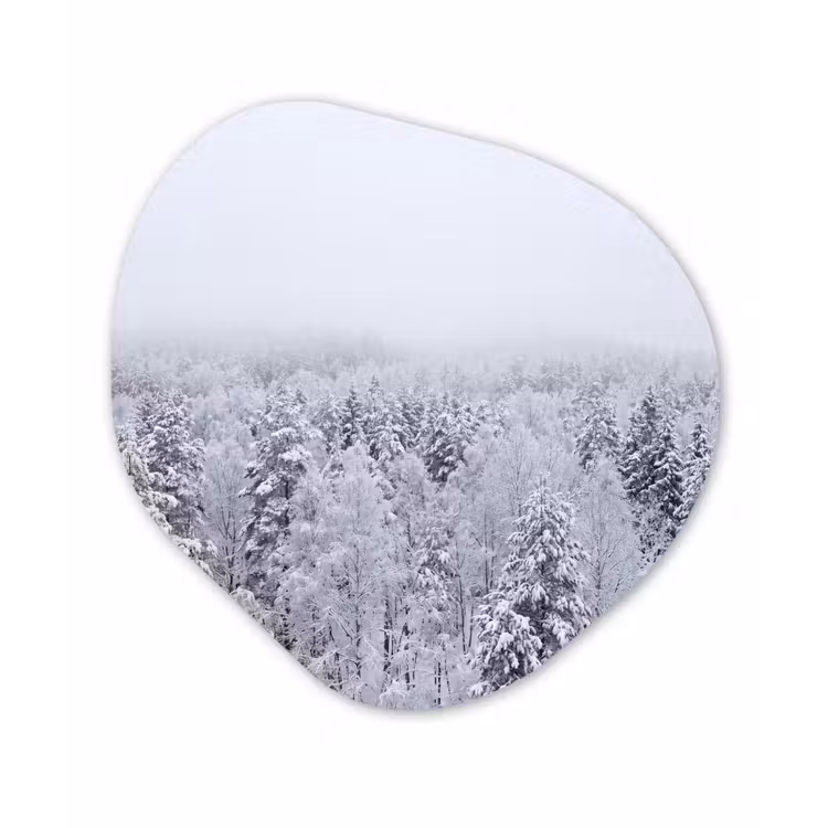 Bos - Sneeuw - Winter - Natuur - Wit Wandcirkel Organisch Aluminium middel -3d