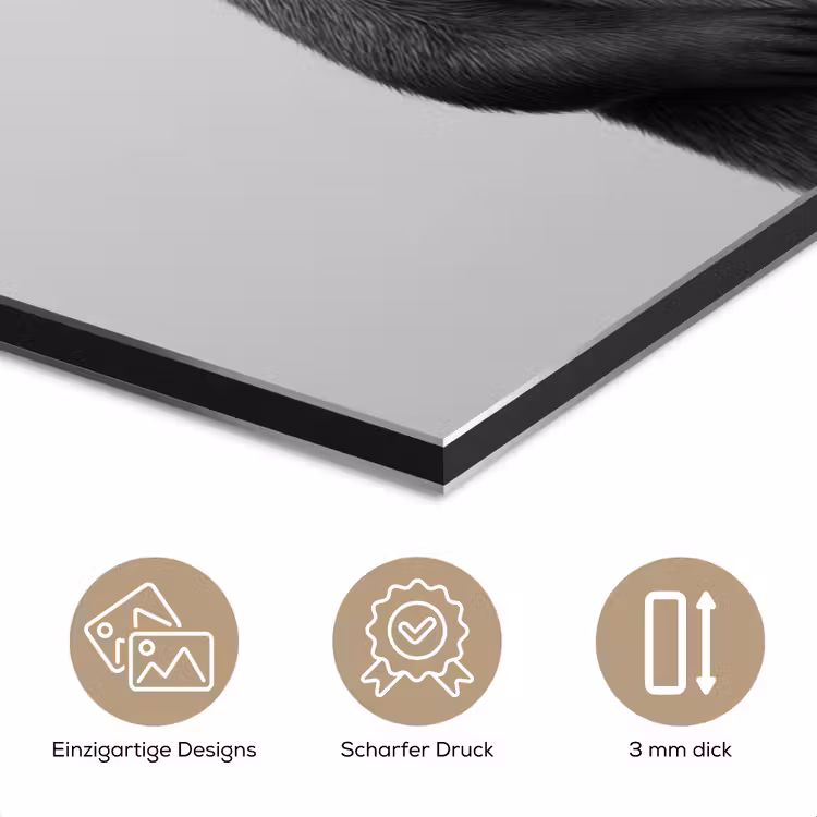 Otter - WC rol - Zwart - Wit aluminium wit klein -closeup_DE