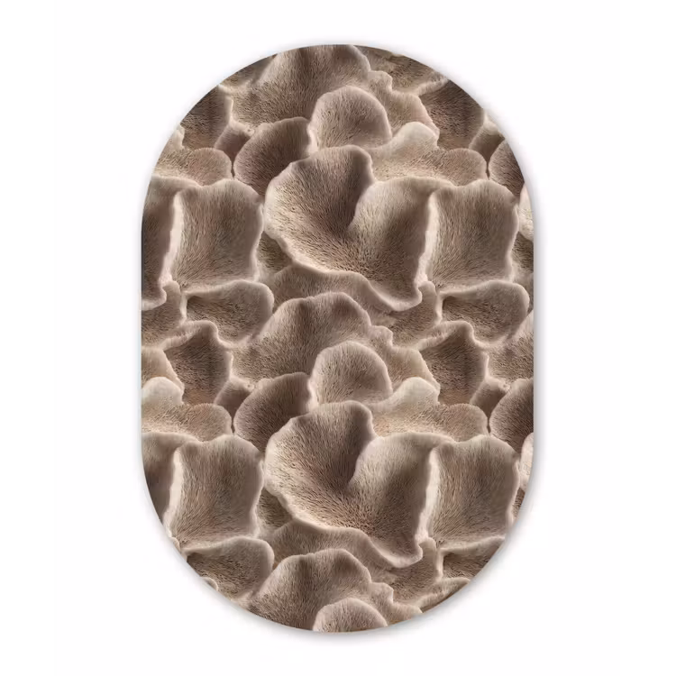 Waaiervorm - Beige - Vezel textuur Wandcirkel Ovaal Aluminium middel 839 -3d