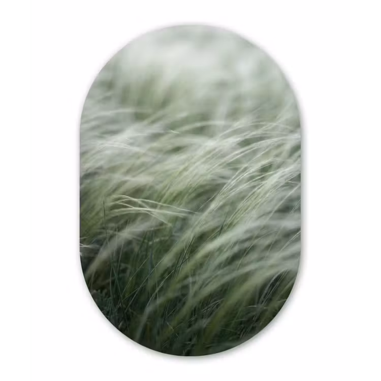 Gras - Wazig - Natuur - Groen - Zacht Wandcirkel Ovaal Aluminium middel -3d