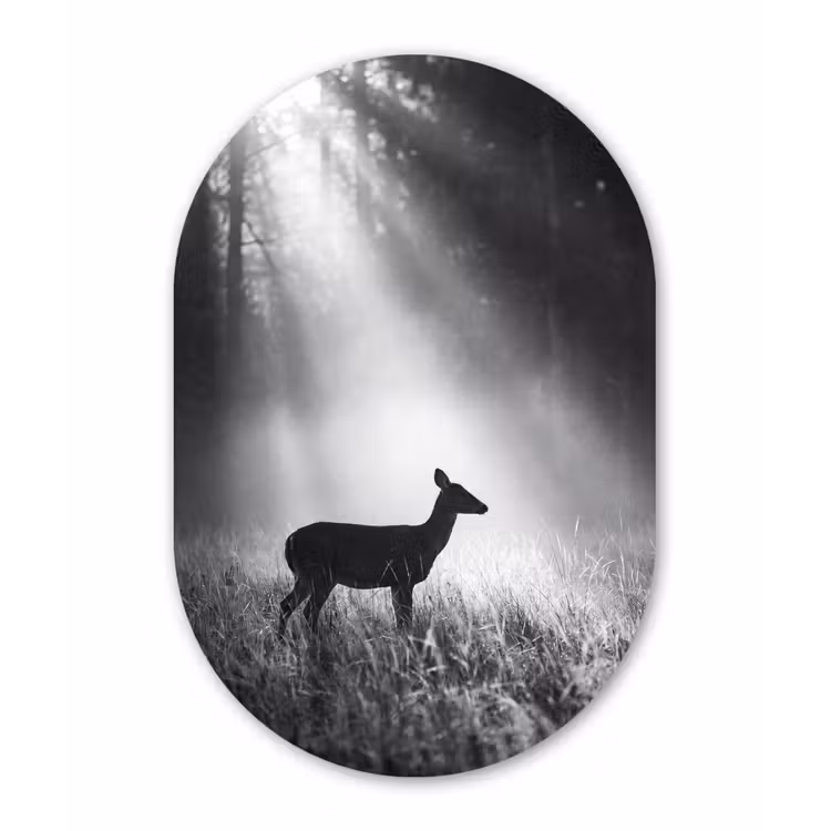 Hert - Bos - Zonnestralen - Zwart-wit - Natuur Wandcirkel Ovaal Aluminium middel -3d