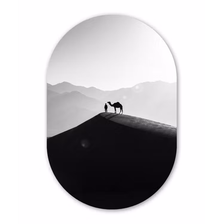 Mens - Kameel - Zandduin - Natuur - Monochroom Wandcirkel Ovaal Aluminium middel -3d