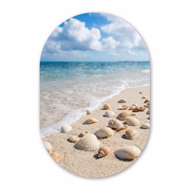 Schelpen - Strand - Natuur - Beige Wandcirkel Ovaal Aluminium middel -3d