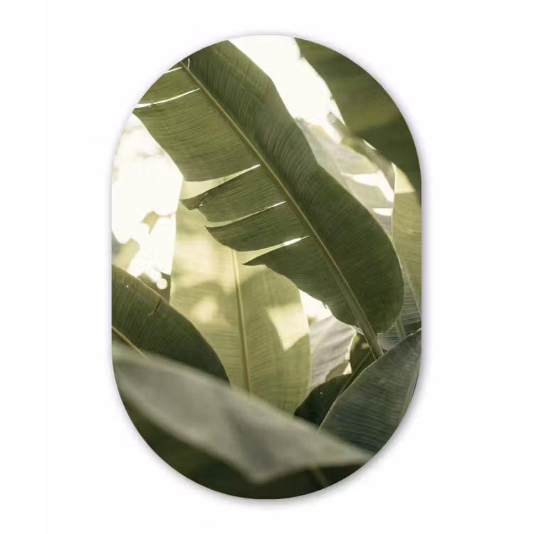 Natuur - Bladeren - Groen - Tropisch - Detail Wandcirkel Ovaal Aluminium middel -3d