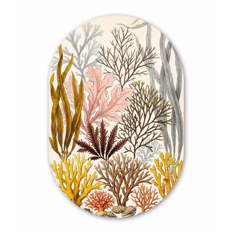 Natuur - Onderwater - Botanisch - Vintage - Kleurrijk Wandcirkel Ovaal Aluminium middel -3d