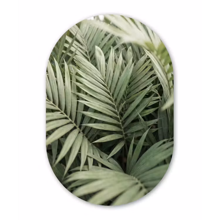 Plant - Palmbladeren - Natuur - Groen Wandcirkel Ovaal Aluminium middel -3d