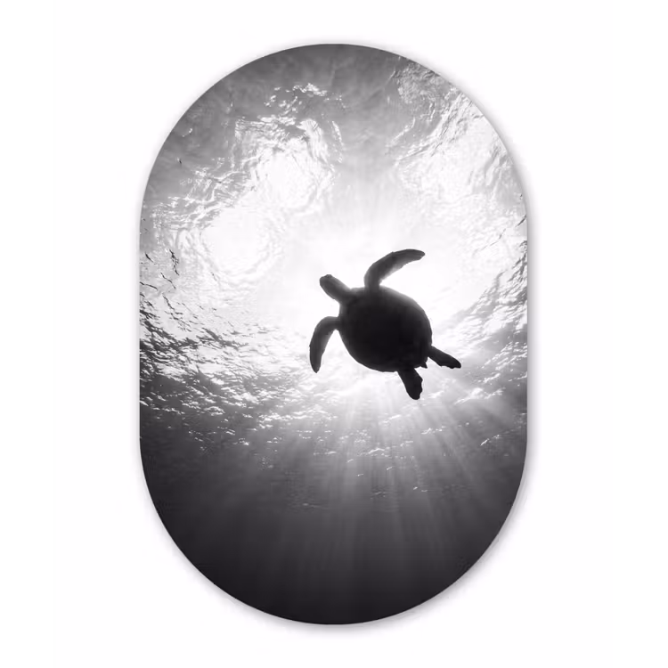 Schildpad - Onderwater - Lichtstralen - Oceaan - Zwart-wit Wandcirkel Ovaal Aluminium middel -3d